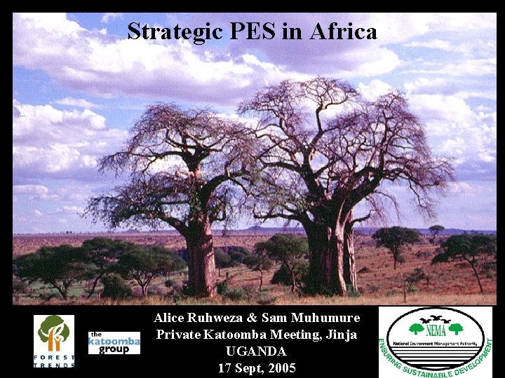 Strategic PES in Africa Alice Ruhweza & Sam Muhumure Private Katoomba Meeting, Jinja UGANDA