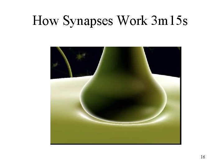 How Synapses Work 3 m 15 s 16 