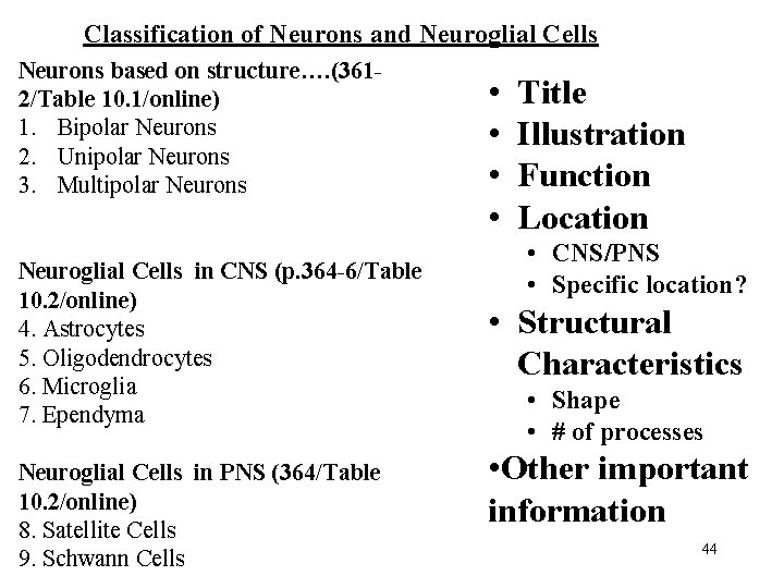 Classification of Neurons and Neuroglial Cells Neurons based on structure…. (3612/Table 10. 1/online) 1.