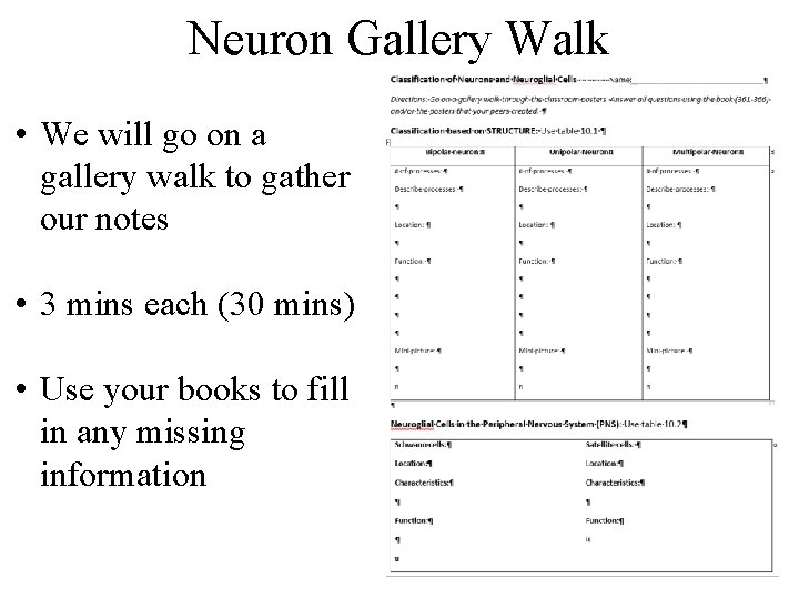 Neuron Gallery Walk • We will go on a gallery walk to gather our