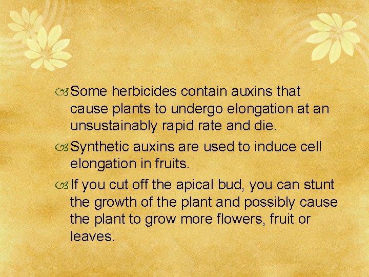  Some herbicides contain auxins that cause plants to undergo elongation at an unsustainably