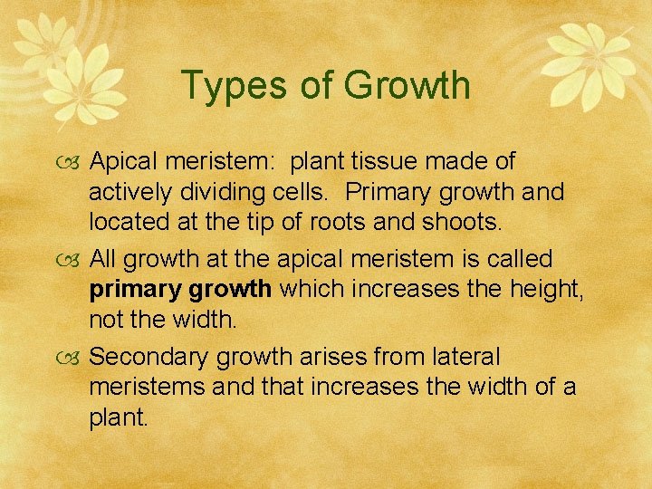 Types of Growth Apical meristem: plant tissue made of actively dividing cells. Primary growth