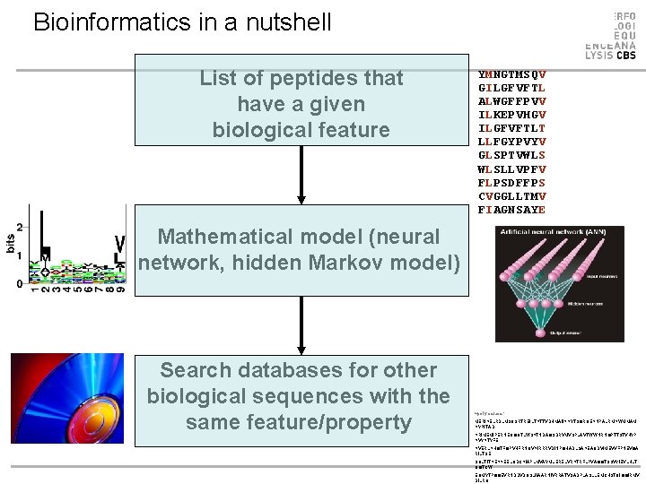 Bioinformatics in a nutshell List of peptides that have a given biological feature YMNGTMSQV Bioinformatics in a nutshell List of peptides that have a given biological feature YMNGTMSQV