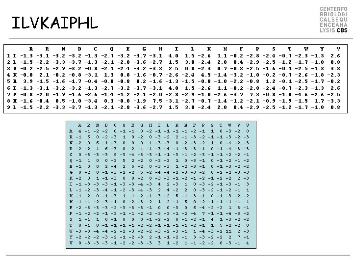 ILVKAIPHL 1 2 3 4 5 6 7 8 9 I L V K ILVKAIPHL 1 2 3 4 5 6 7 8 9 I L V K