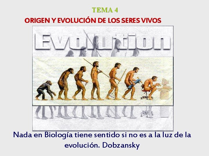 TEMA 4 ORIGEN Y EVOLUCIÓN DE LOS SERES VIVOS Nada en Biología tiene sentido