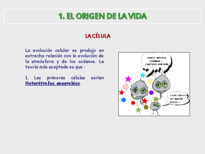 1. EL ORIGEN DE LA VIDA LA CÉLULA La evolución celular se produjo en