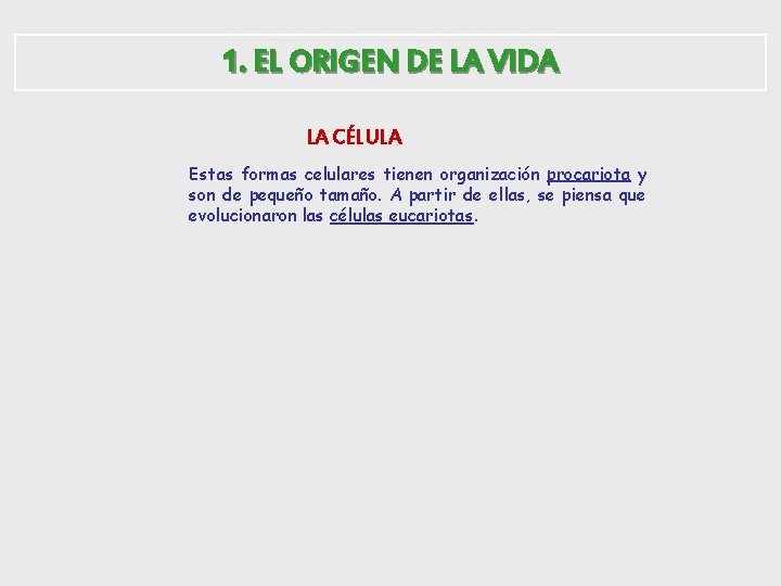 1. EL ORIGEN DE LA VIDA LA CÉLULA Estas formas celulares tienen organización procariota