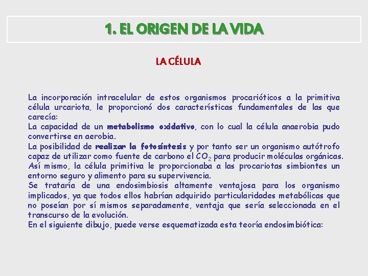 1. EL ORIGEN DE LA VIDA LA CÉLULA La incorporación intracelular de estos organismos