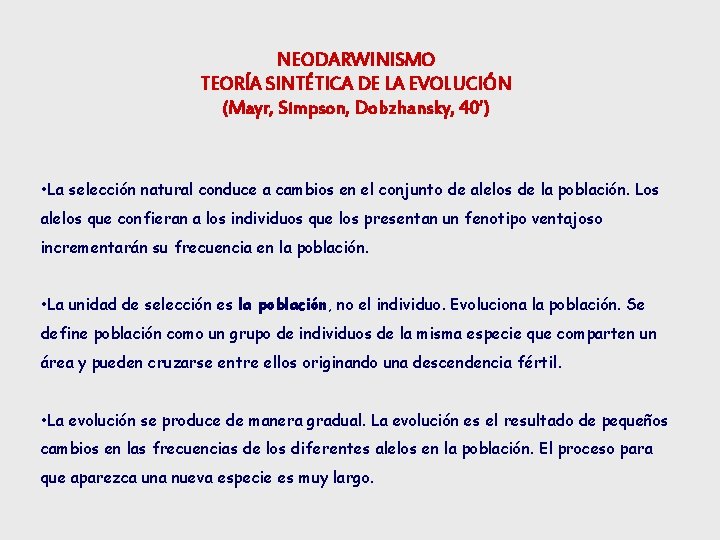 NEODARWINISMO TEORÍA SINTÉTICA DE LA EVOLUCIÓN (Mayr, Simpson, Dobzhansky, 40’) • La selección natural