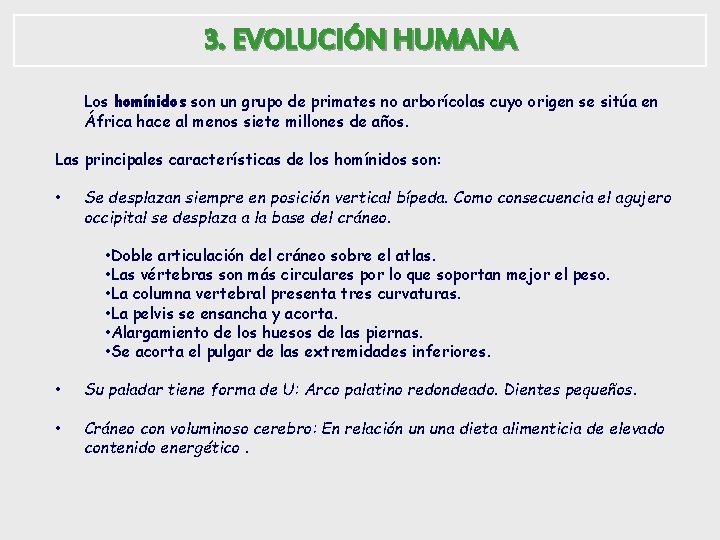 3. EVOLUCIÓN HUMANA Los homínidos son un grupo de primates no arborícolas cuyo origen