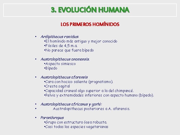 3. EVOLUCIÓN HUMANA LOS PRIMEROS HOMÍNIDOS • Ardipithecus ramidus: • El homínido más antiguo
