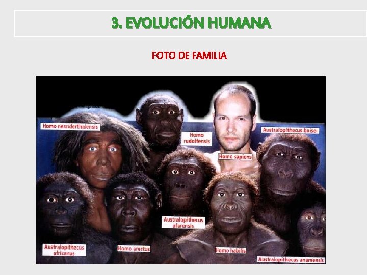 3. EVOLUCIÓN HUMANA FOTO DE FAMILIA 