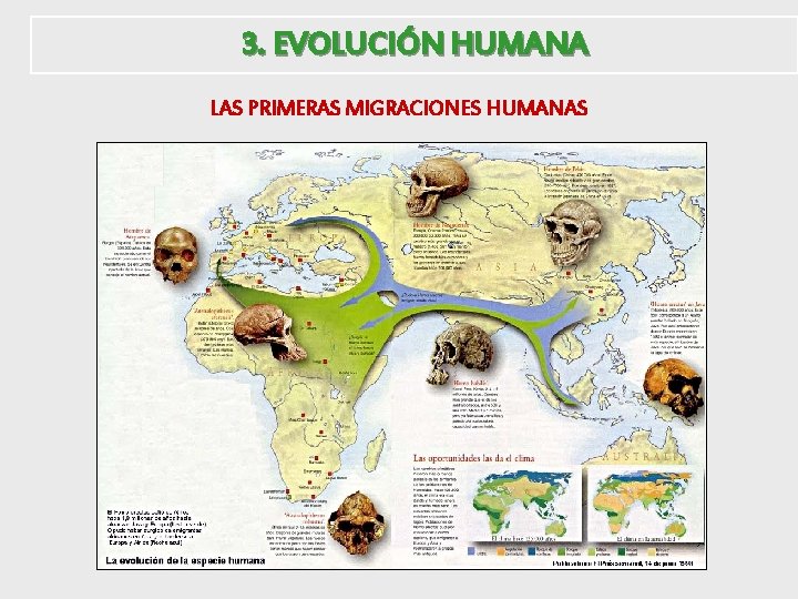 3. EVOLUCIÓN HUMANA LAS PRIMERAS MIGRACIONES HUMANAS 