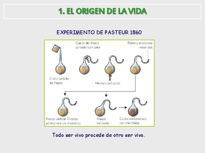 1. EL ORIGEN DE LA VIDA EXPERIMENTO DE PASTEUR 1860 Todo ser vivo procede