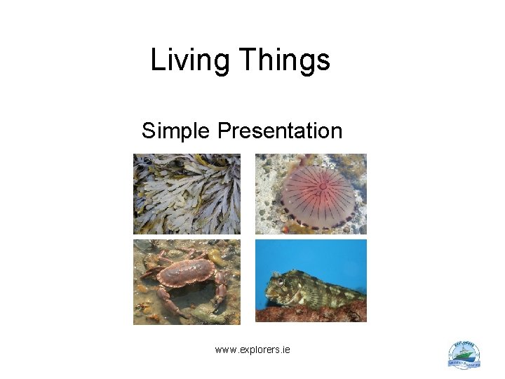 Living Things Simple Presentation www. explorers. ie 