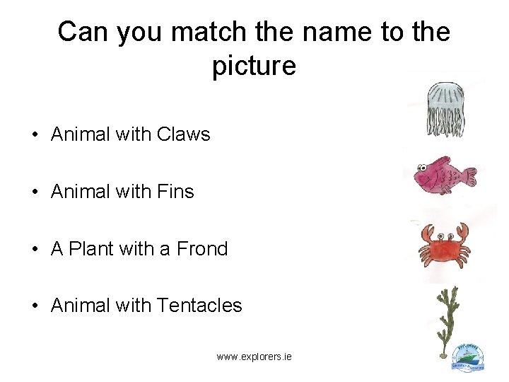 Can you match the name to the picture • Animal with Claws • Animal