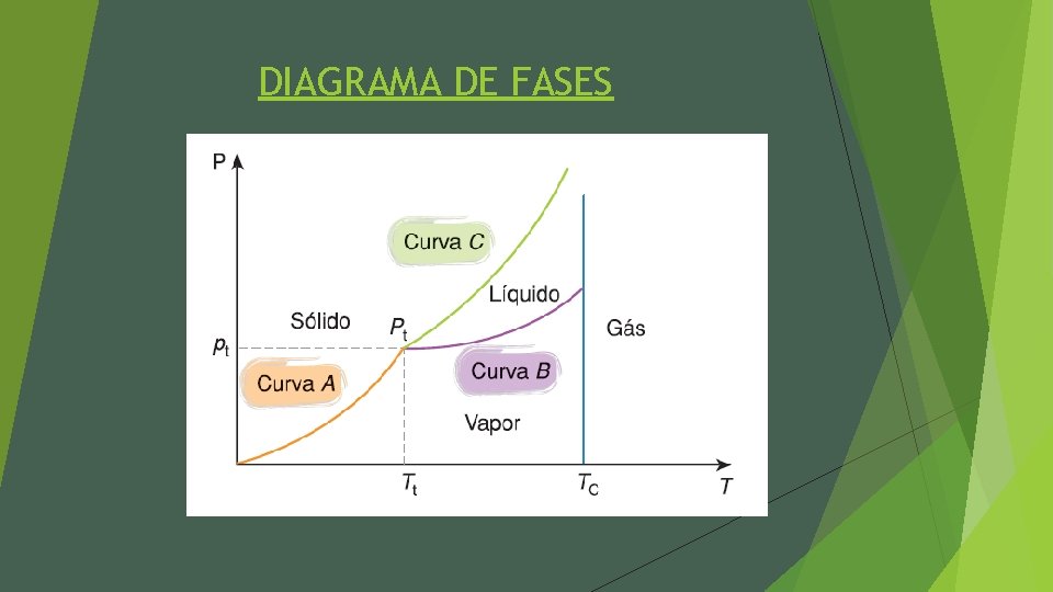 DIAGRAMA DE FASES 