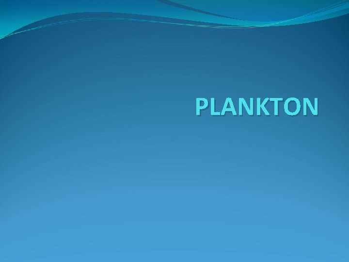 PLANKTON 