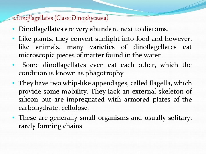 2. Dinoflagellates (Class: Dinophyceaea) • Dinoflagellates are very abundant next to diatoms. • Like