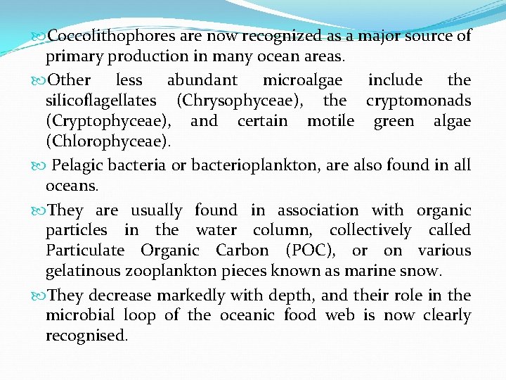  Coccolithophores are now recognized as a major source of primary production in many