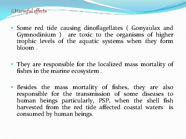 ii. Harmful effects • Some red tide causing dinoflagellates ( Gonyaulax and Gymnodinium )