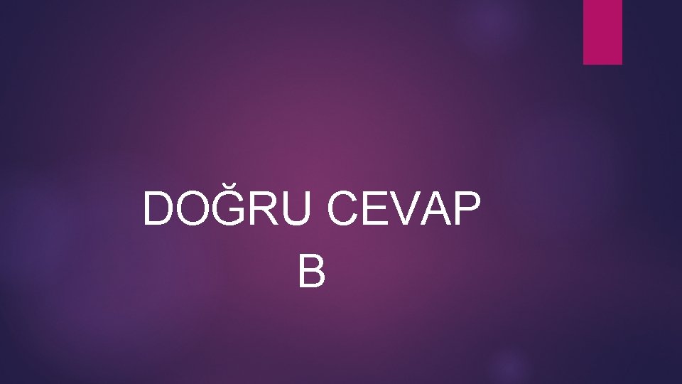 DOĞRU CEVAP B 