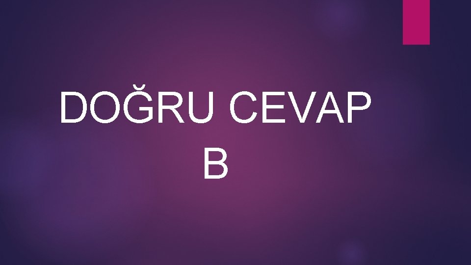 DOĞRU CEVAP B 