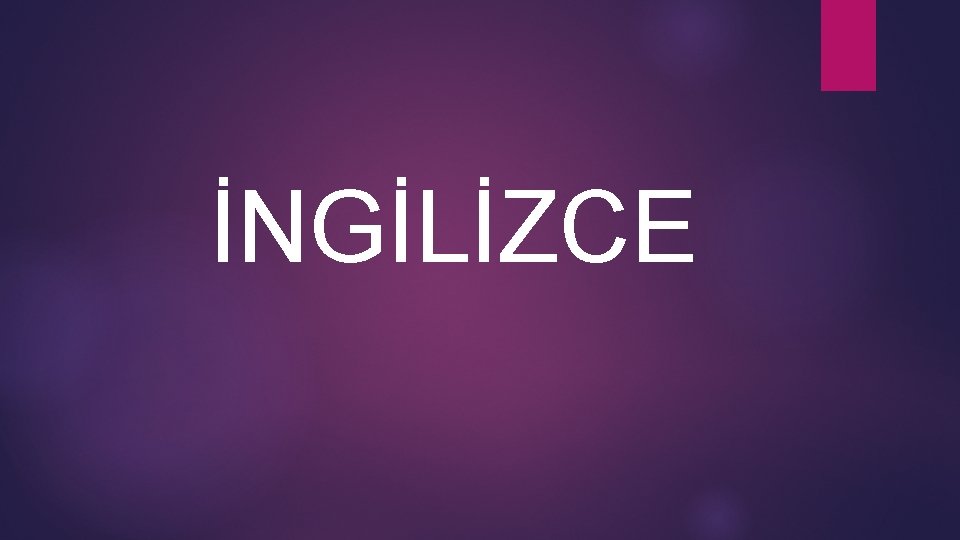 İNGİLİZCE 