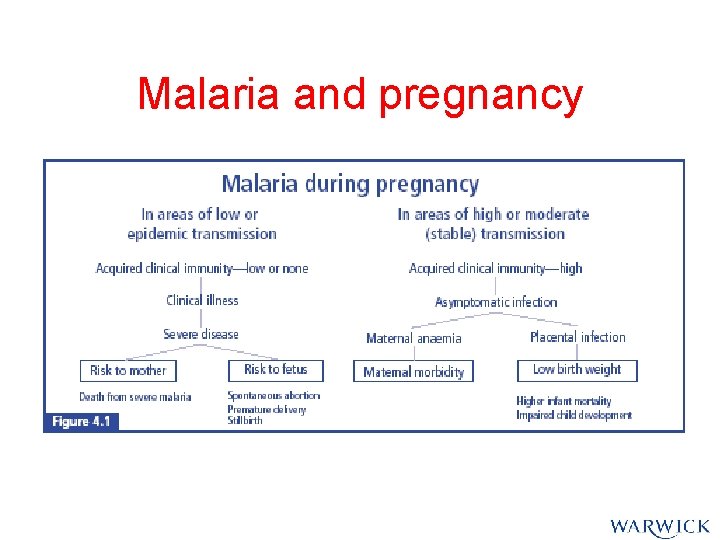 Malaria and pregnancy Malaria and pregnancy
