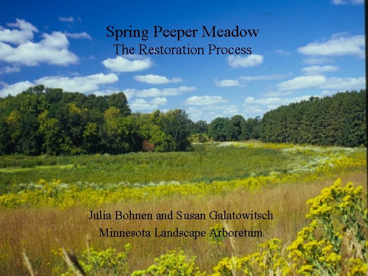 Spring Peeper Meadow The Restoration Process Julia Bohnen and Susan Galatowitsch Minnesota Landscape Arboretum