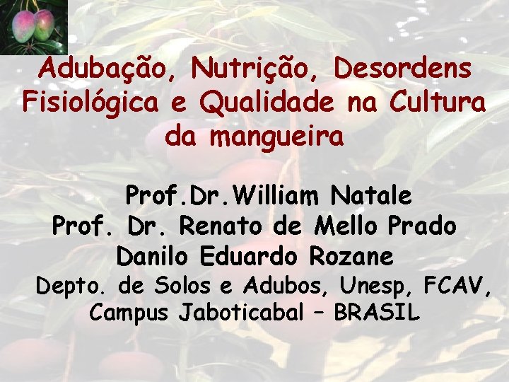 Adubação, Nutrição, Desordens Fisiológica e Qualidade na Cultura da mangueira Prof. Dr. William Natale