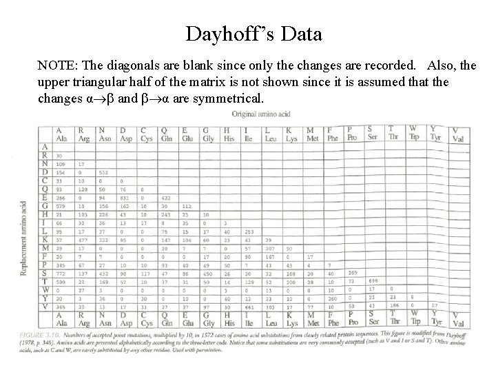 Dayhoff’s Data NOTE: The diagonals are blank since only the changes are recorded. Also,