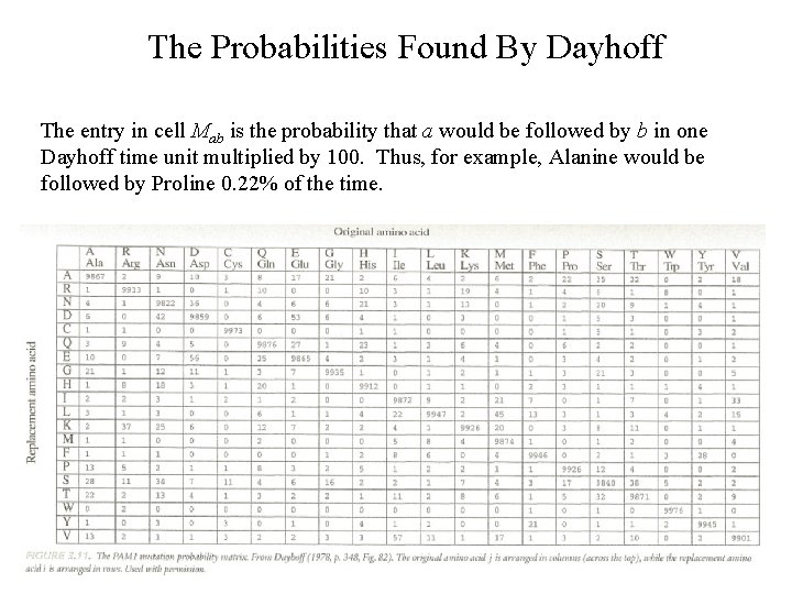 The Probabilities Found By Dayhoff The entry in cell Mab is the probability that
