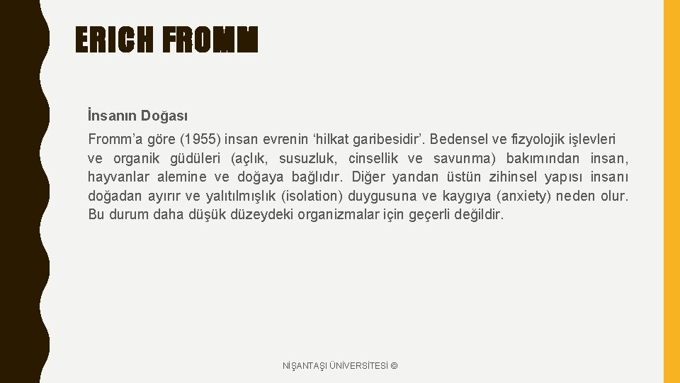 ERICH FROMM İnsanın Doğası Fromm’a göre (1955) insan evrenin ‘hilkat garibesidir’. Bedensel ve fizyolojik