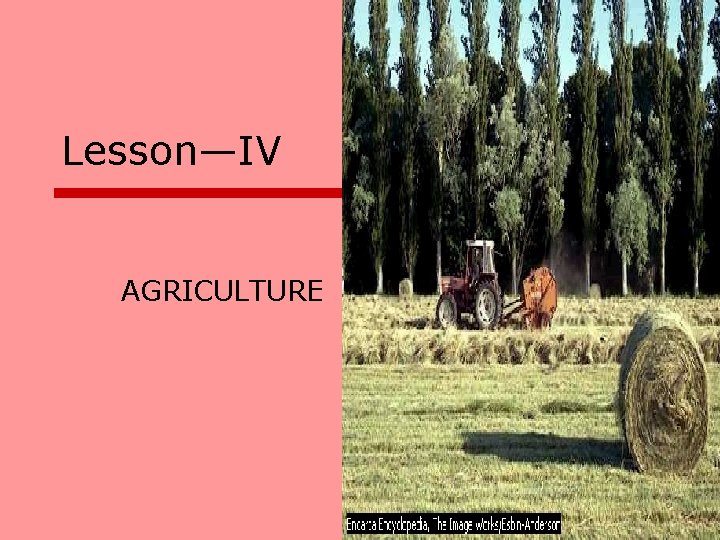 Lesson—IV AGRICULTURE 