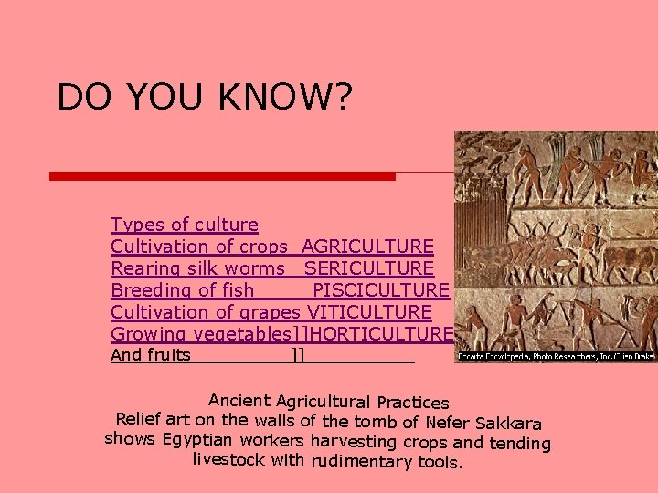 DO YOU KNOW? Types of culture Cultivation of crops AGRICULTURE Rearing silk worms SERICULTURE