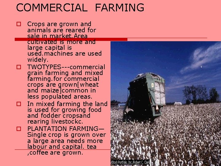 COMMERCIAL FARMING o Crops are grown and animals are reared for sale in market.