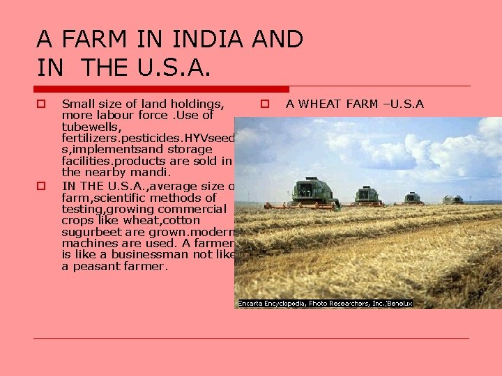 A FARM IN INDIA AND IN THE U. S. A. o o Small size