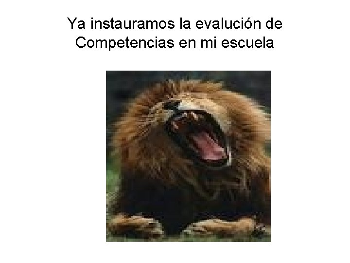 Ya instauramos la evalución de Competencias en mi escuela Ya instauramos la evalución de Competencias en mi escuela