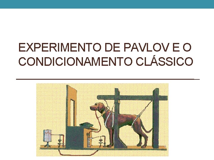 EXPERIMENTO DE PAVLOV E O CONDICIONAMENTO CLÁSSICO EXPERIMENTO DE PAVLOV E O CONDICIONAMENTO CLÁSSICO