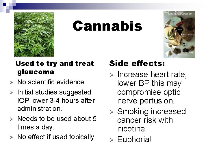 Cannabis Used to try and treat glaucoma Ø No scientific evidence. Ø Initial studies