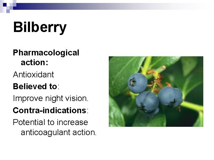 Bilberry Pharmacological action: Antioxidant Believed to: Improve night vision. Contra-indications: Potential to increase anticoagulant