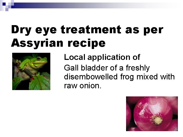 Dry eye treatment as per Assyrian recipe Local application of Gall bladder of a