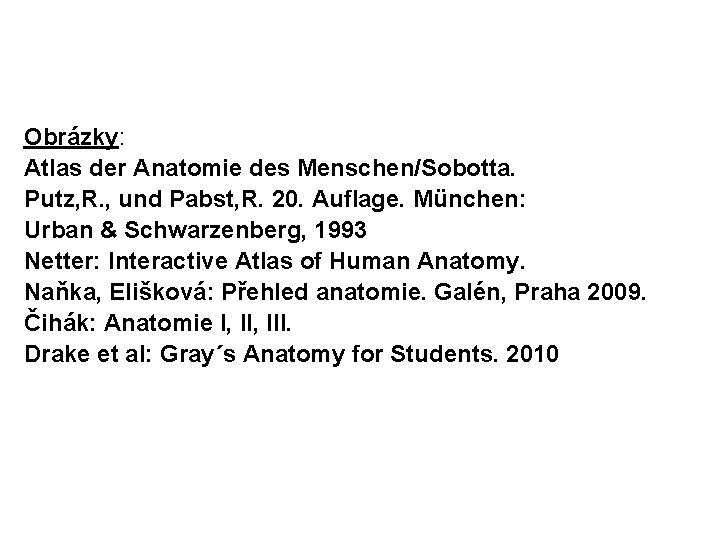 Obrázky: Atlas der Anatomie des Menschen/Sobotta. Putz, R. , und Pabst, R. 20. Auflage.