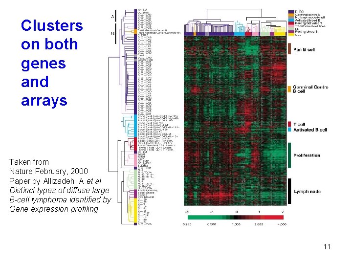 Clusters on both genes and arrays Taken from Nature February, 2000 Paper by Allizadeh.