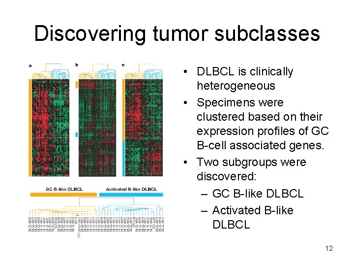 Discovering tumor subclasses • DLBCL is clinically heterogeneous • Specimens were clustered based on