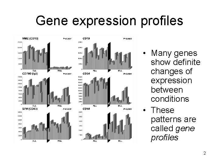 Gene expression profiles • Many genes show definite changes of expression between conditions •