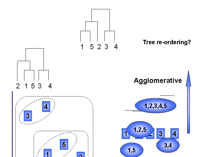 Tree re-ordering? 1 5 2 3 4 Agglomerative 2 1 53 4 1, 2,