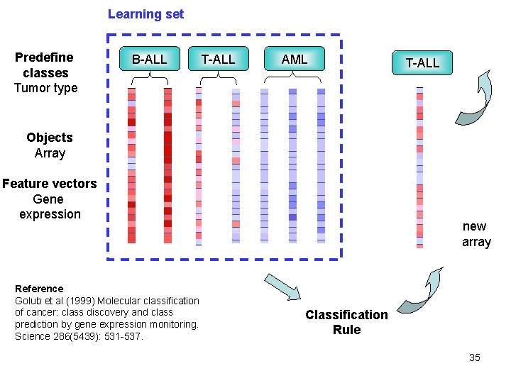 Learning set Predefine classes Tumor type B-ALL T-ALL AML T-ALL ? Objects Array Feature