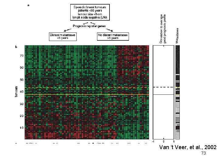 Van ‘t Veer, et al. , 2002 73 